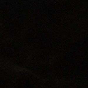 Meet your Posher, Corey